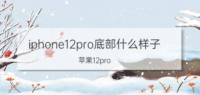 iphone12pro底部什么样子 苹果12pro max电源键下方是什么？